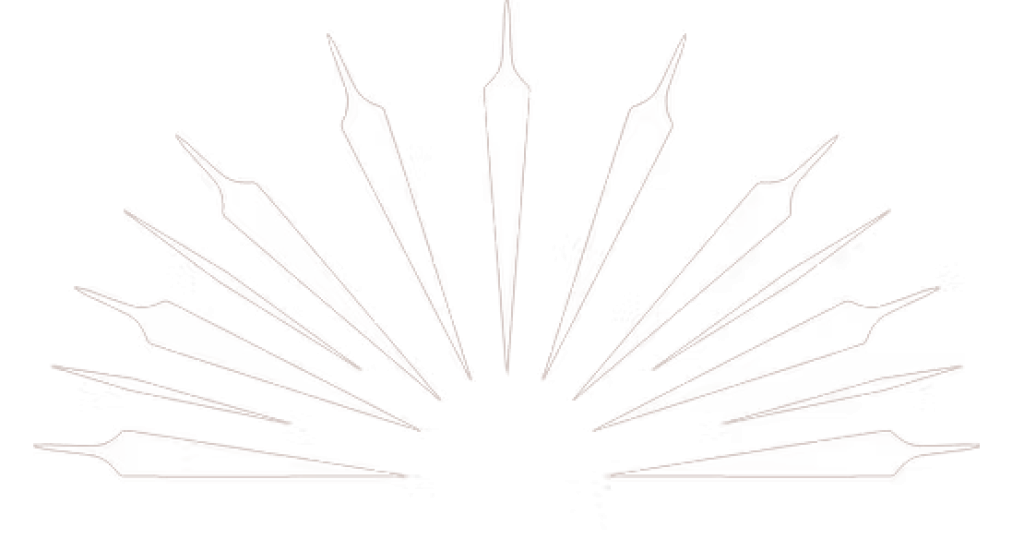 A stylized sunburst design with sharp, elongated rays emerging from a central point on a transparent background, suggesting a modern, dynamic concept.